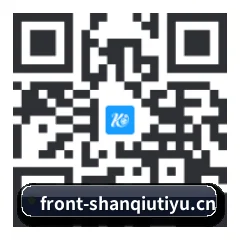 系统版 iOS 二维码